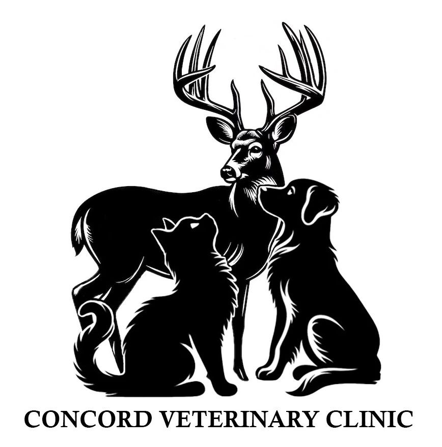 Concord Veterinary Clinic